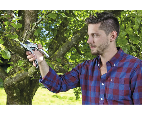 Man klipper grenar med en trädgårdssax.