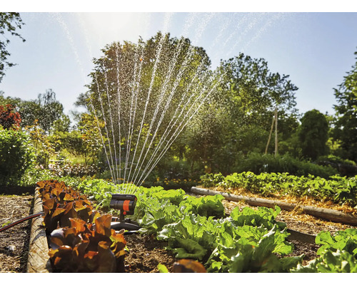 Trädgårdsscen med grönsaksträdgård och grässprinkler i drift