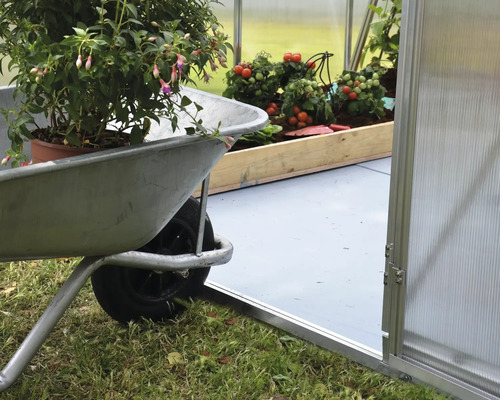 Scen med skottkärra framför ett växthus med tomatplantor