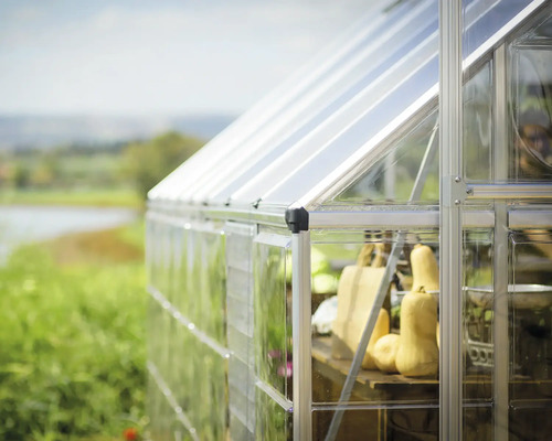 Växthus med transparenta väggar och grönsaker inuti