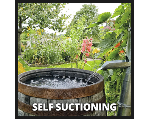 Regnvatten samlas upp i en tunna av trä i en trädgård.