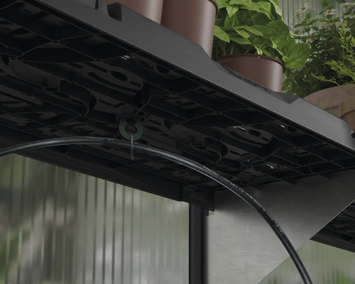 Detaljvy av en svart hylla med växter och bevattningsslang i växthuset.