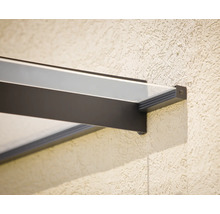 Detaljvy av ett dörrtak med klar glasskiva och mörka ramprofiler.