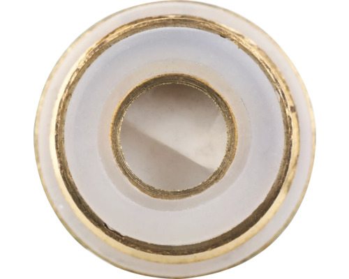 Mässingsadapter med plasttätning för sanitära applikationer