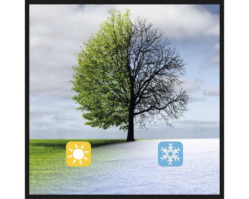 Bild som föreställer årstiderna vår och vinter med ett träd, en sol och en snöflinga