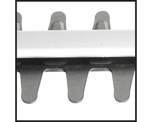 Närbild av bladen på en häcksax