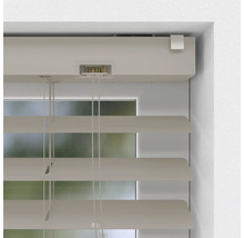 Detaljvy av en horisontell persienn på fönstret