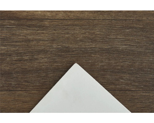 Vitt hörn på brun träbakgrund