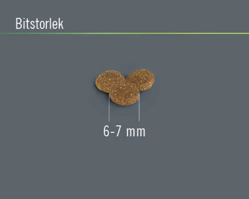 Hundtorrfoderbitar storlek 6 till 7 millimeter