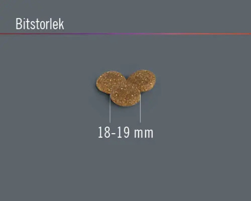 Torrfoderbitar med en storlek på 18 till 19 millimeter.