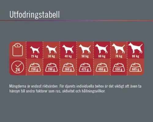Utfodringstabell för hundar med viktangivelser och foderrekommendationer