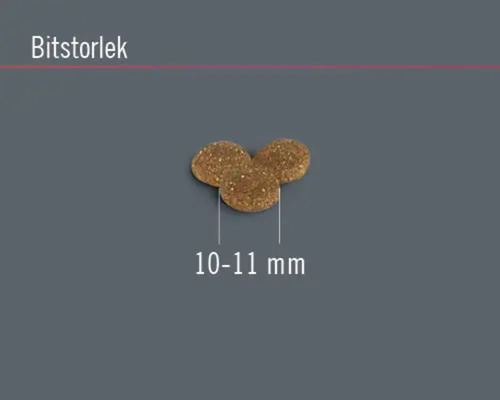 Foderbitstorlek 10 till 11 millimeter