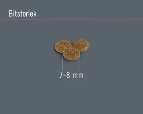 Hundmatsbitar med en storlek på 7 till 8 millimeter