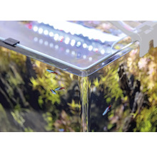 Detaljbild av ett akvarium med växter, fiskar och belysning