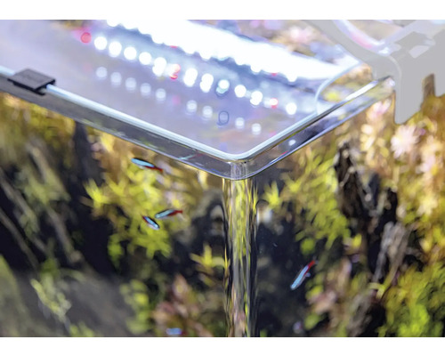 Detaljbild av ett akvarium med växter, fiskar och belysning