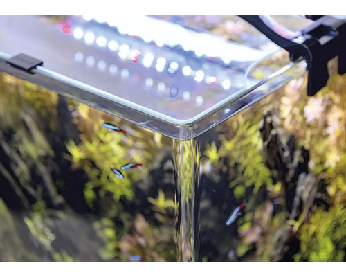 Detaljbild av ett planterat akvarium med fiskar och belysning