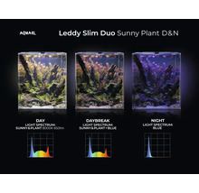 Aquael Leddy Slim Duo Sunny Plant D&N akvarium med dag-, dagsljus- och nattbelysning