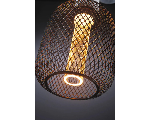 Taklampa med trådnät och ljuskälla