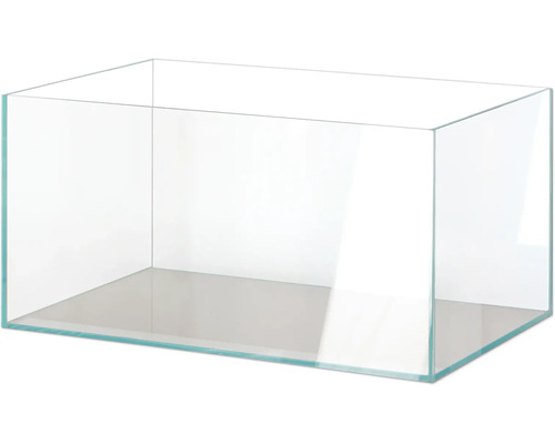 Tomt glasakvarium för fiskar och växter