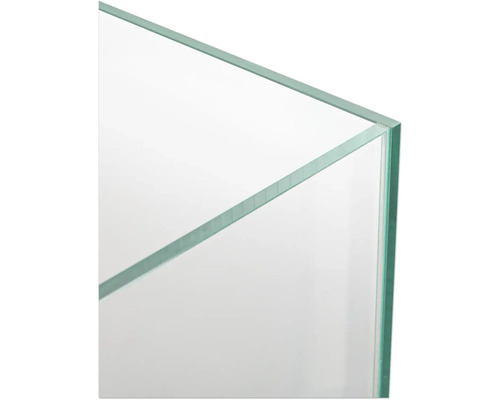 Detaljvy av ett glasakvarium.