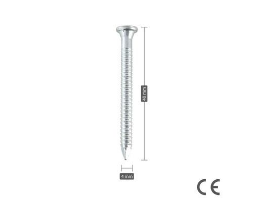 En enda spik som är 40 millimeter lång och 4 millimeter i diameter
