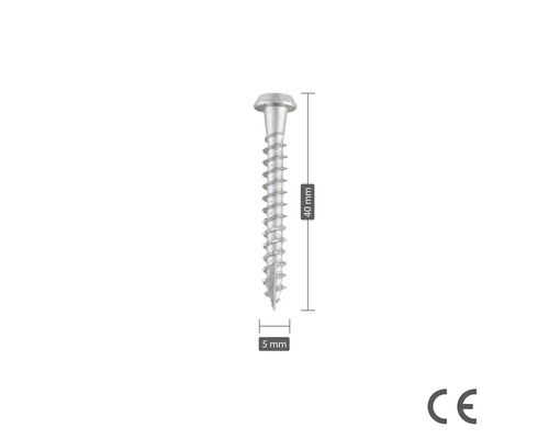 Träskruv, 40 mm lång och 5 mm bred