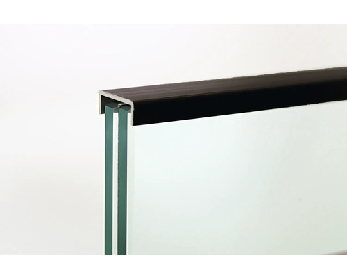 Glasplatta med fästprofil