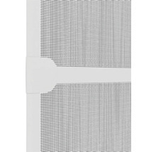 Närbild av ett insektsnät med ram