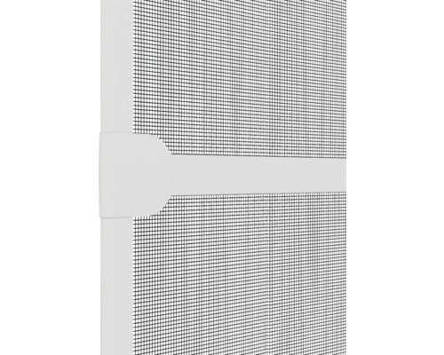 Närbild av ett insektsnät med ram