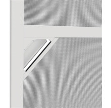 Detaljvy av ett insektsfönster med vridlås