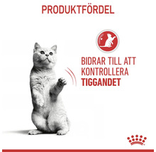 Produktfördel: Kattmat för att kontrollera tiggeriet