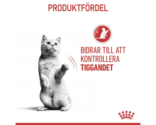 Produktfördel: Kattmat för att kontrollera tiggeriet