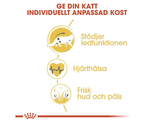 Illustration av stöd för ledfunktion, hjärthälsa och frisk hud och päls