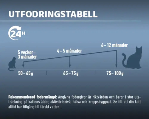 Utfodringstabell för katter baserad på ålder och vikt