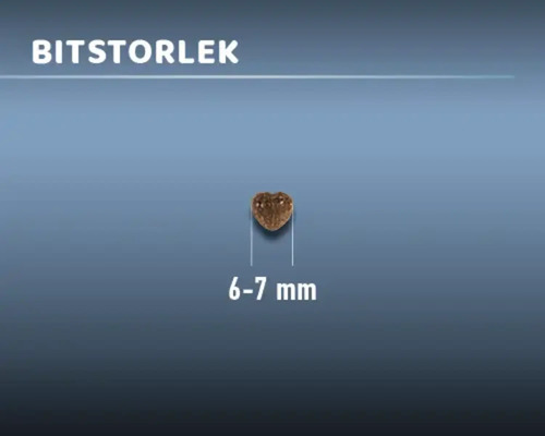 Hjärtformat foderbit med en storlek på 6 till 7 millimeter