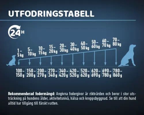 Utfodringstabell för hundar med vikt rekommendationer