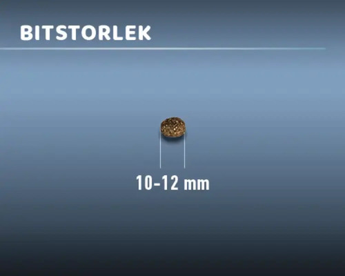 Bitstorlek 10 till 12 millimeter