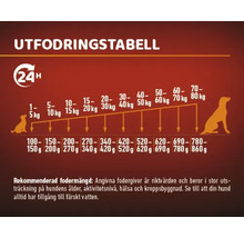 Utfodringstabell för hundar med information om vikt och mängd foder