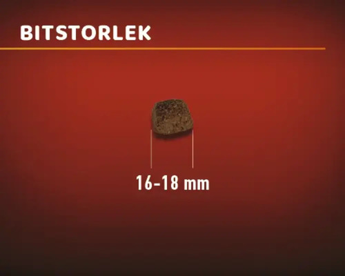 Hundfoderbit med en storlek på 16 till 18 millimeter