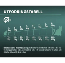 Kattmat MR.BEEF Indoor 10kg