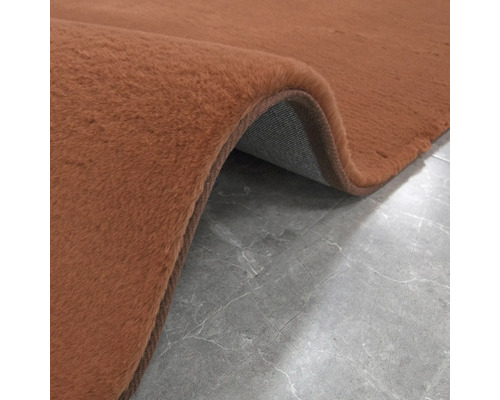 Detaljvy av en brun matta med hög lugg