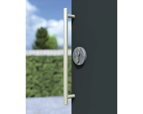 Dörr med stånghandtag och lås