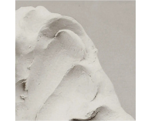 Detaljbild av putsstruktur