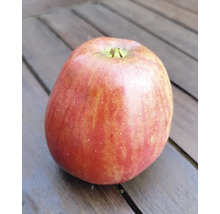 Äpple på ett träbord