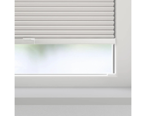 Fönster med plisségardin för ljusreglering