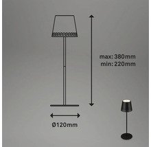 Bordslampa BRILONER utomhus svart, IP44