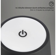 Bordslampa BRILONER utomhus svart, IP44