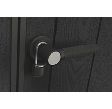 Dörr med dörrhandtag och hänglås