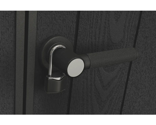 Dörr med dörrhandtag och hänglås