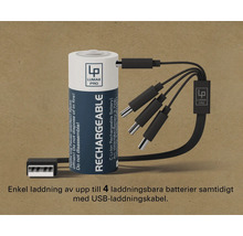 Lumak Pro uppladdningsbart batteri med USB-laddningskabel för laddning av upp till fyra batterier samtidigt